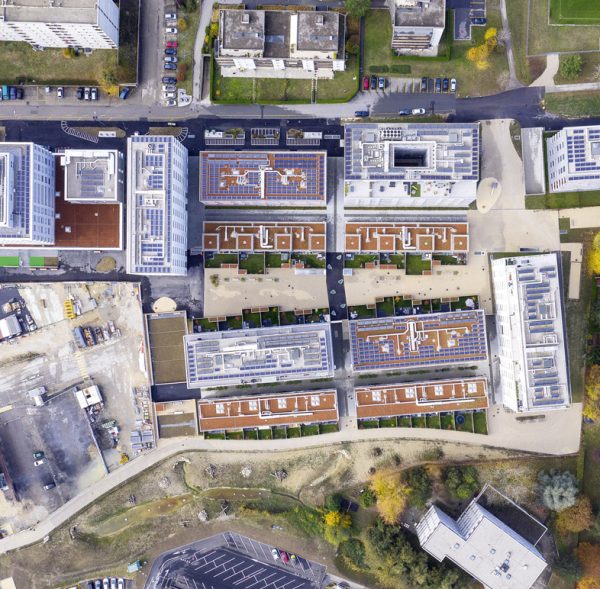 IMG_2401-e1709369702309