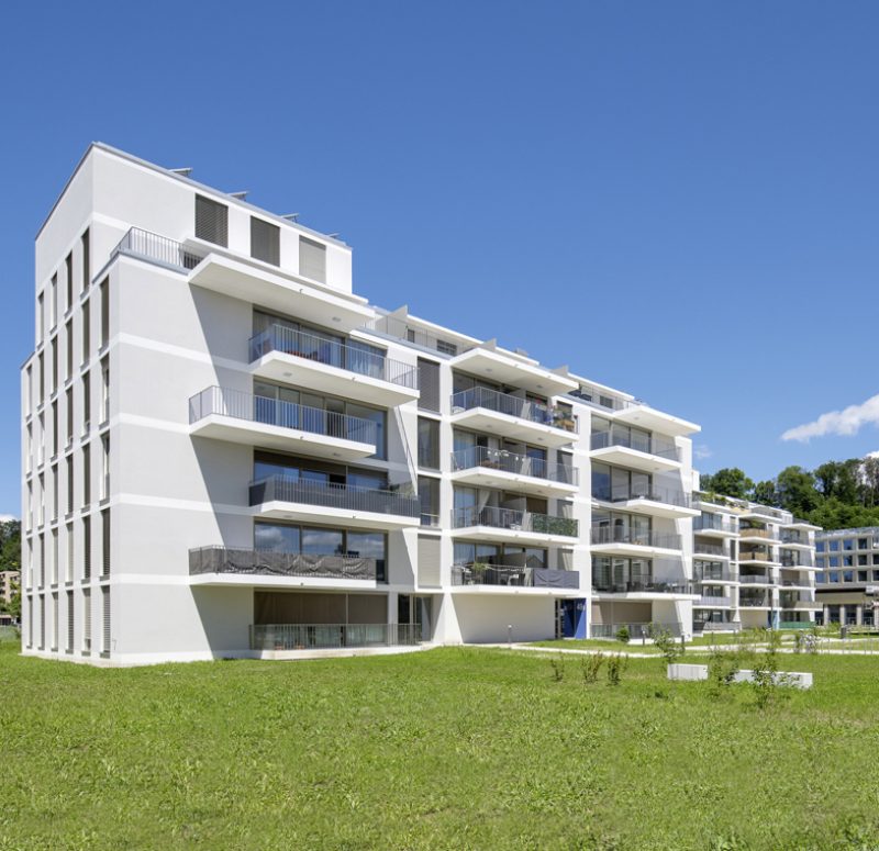 IMG_2388-e1709314126482 IMG_2388-e1709314126482